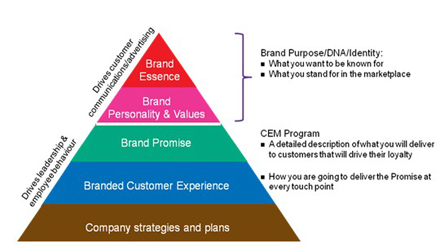 λ׌͑(h)w(yn)ɞI(y)DNAһ